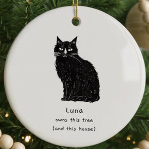 Personalized Cat Ornament Gift | Custom Cat Name Christmas Decor | Funny Pet Ornament for Cat Lovers | Cat Mom Stocking Stuffer