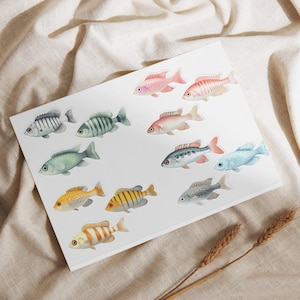 Fish Sticker Sheets – Ocean Sea Life Vinyl Stickers | Planner Decor, Scrapbooking, Marine Animal Labels, Kids Crafts & Journaling