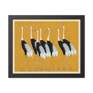 Traditional Portrait of Flock of Japanese Red-Crowned Cranes - Ogata Korin (1658-1716) - Elegant Japanese Bird Art - Fine Art Print