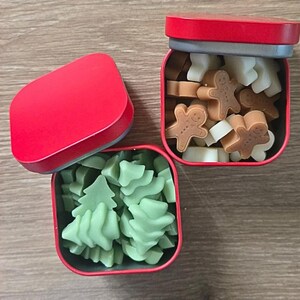 Mini cere natalizie da sciogliere / Profumi di pan di zenzero e foresta invernale / Perline di soia natalizie / Scatola di metallo