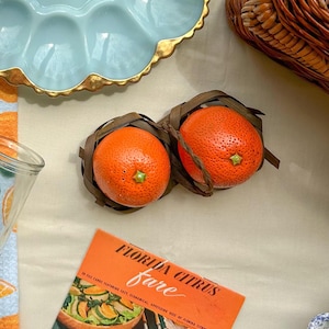 Enesco orange salt & pepper shakers || retro kitchen salt and pepper || orange kitchen decor || salt and pepper shaker collection