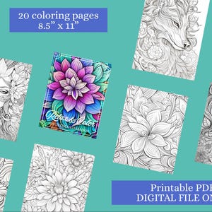 Relaxing Adult Coloring Book