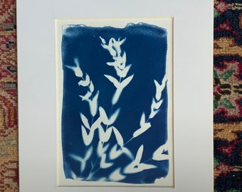 La Joséphine - vigne et fleur cyanotype traditionnel bleu et blanc