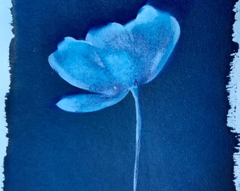 La Phyllis - fleur de tulipe petit cyanotype traditionnel bleu et blanc