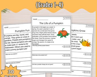 Halloween Reading Comprehension Worksheets | ELA Activities (Digital Download)