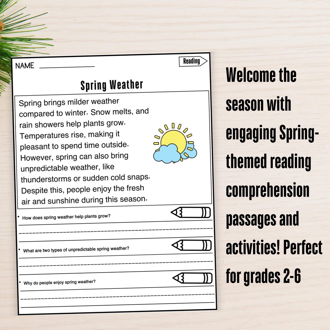 Spring Reading Comprehension Passages Worksheets Questions Writing Text ...