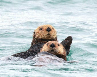 Sea Otter Racerback Tank