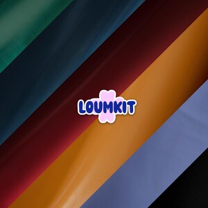 Peut inclure: Un autocollant avec le texte "LOUMKIT" en bleu avec un contour blanc, placé sur une forme de fleur rose. L'autocollant est placé sur un fond de rayures diagonales de différentes couleurs, dont le vert, le bleu marine, le rouge, l'orange et le bleu.