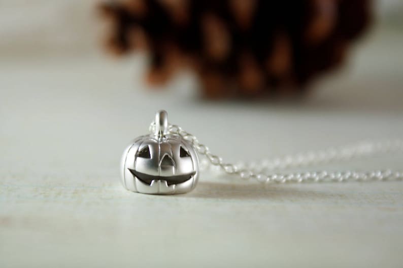 May include: A silver necklace with a small, detailed pumpkin charm. The pumpkin has a carved jack-o'-lantern face.