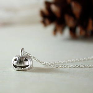 May include: A silver necklace with a small, detailed pumpkin charm. The chain is delicate and the pumpkin is a cute, spooky Halloween accessory.