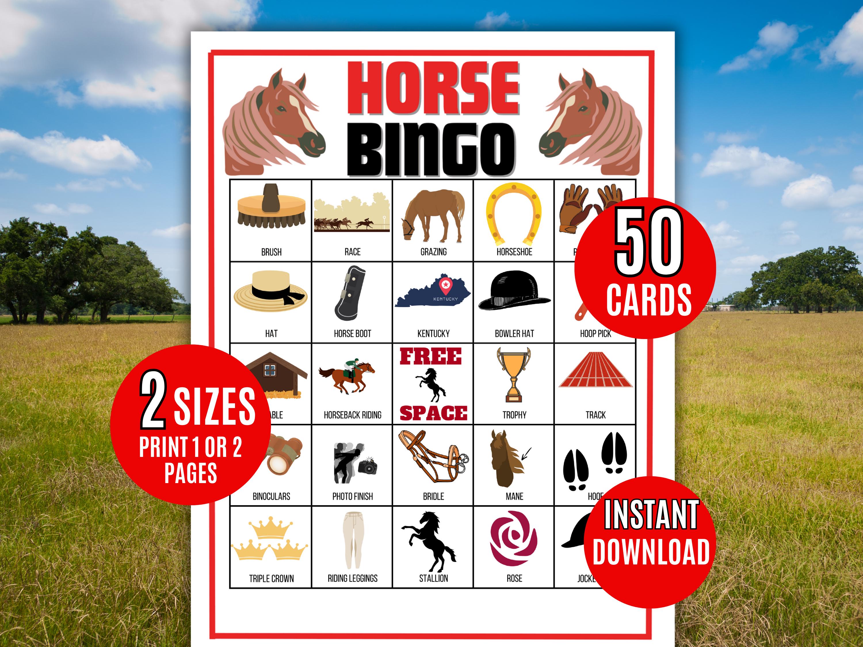 Horse Race Game