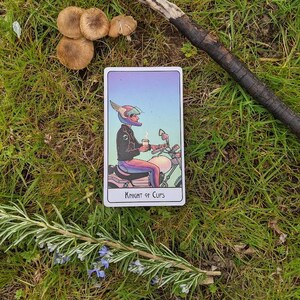 Lectura de tarot/oráculo de una carta el mismo día