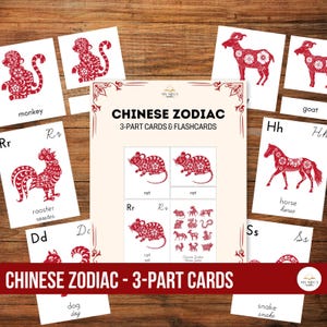 Lunar New Year Montessori 3 Part Cards and Flashcards Printable Chinese Homeschool Early Language Educational Gift Classroom