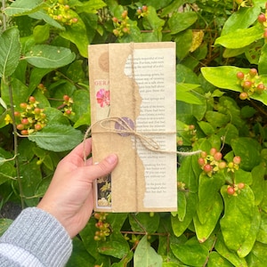Vintage Snail Mail Short Story Collection | Cosy Cottagecore Interactive Letters