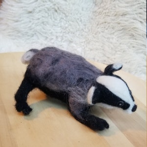 Badger image 3