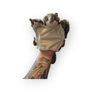 May include: A plush flying squirrel hand puppet featuring soft brown and grey fur on the back and a cream-colored underside. The puppet has dark eyes, small ears, and extended flaps of fabric between the limbs, mimicking the appearance of a gliding squirrel.