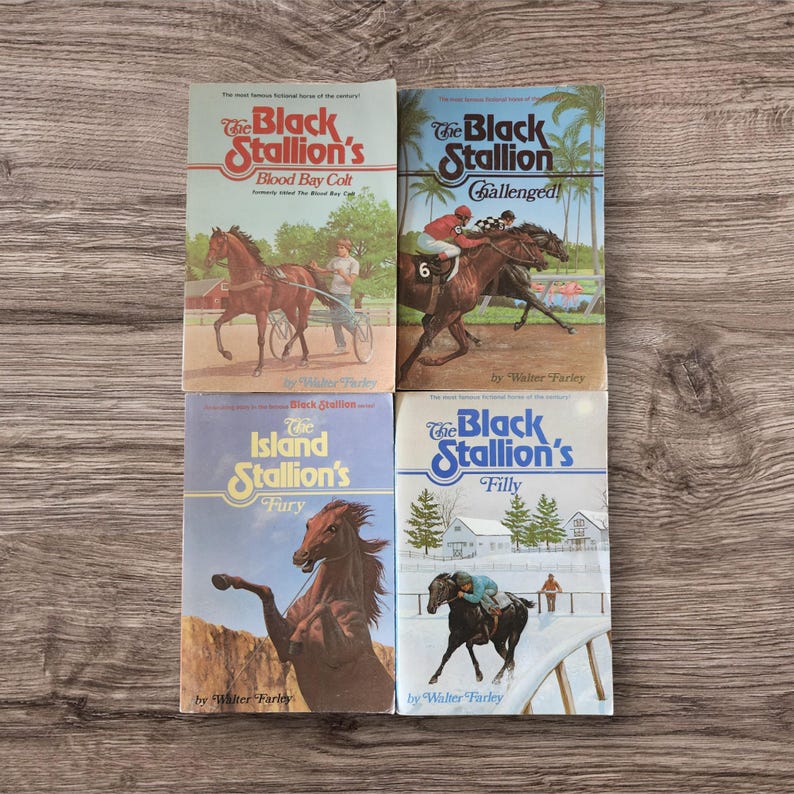 The Black Stallion Novels from 1960's and 70's Walter Farley image 5