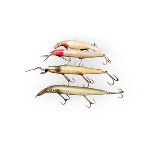 animated fishing lure pictures K&K Animated Minnow | Fishing Lure Art