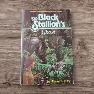May include: A vintage paperback book titled "The Black Stallion's Ghost" by Walter Farley. The cover features a detailed illustration of a gray horse, a young person, and a rider on a white horse in a swampy setting. The book is set against a wooden background.