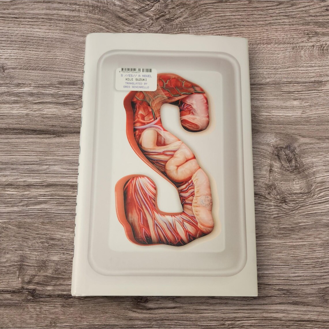 S: ES A Novel by Koji Suzuki (The Ring Series) Hardcover Japanese Translated To English Rare First Edition