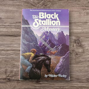 May include: A vintage paperback book titled "The Black Stallion Mystery" by Walter Farley. The cover features a boy riding a black horse, with a brown horse running in the background, set against a mountain landscape.