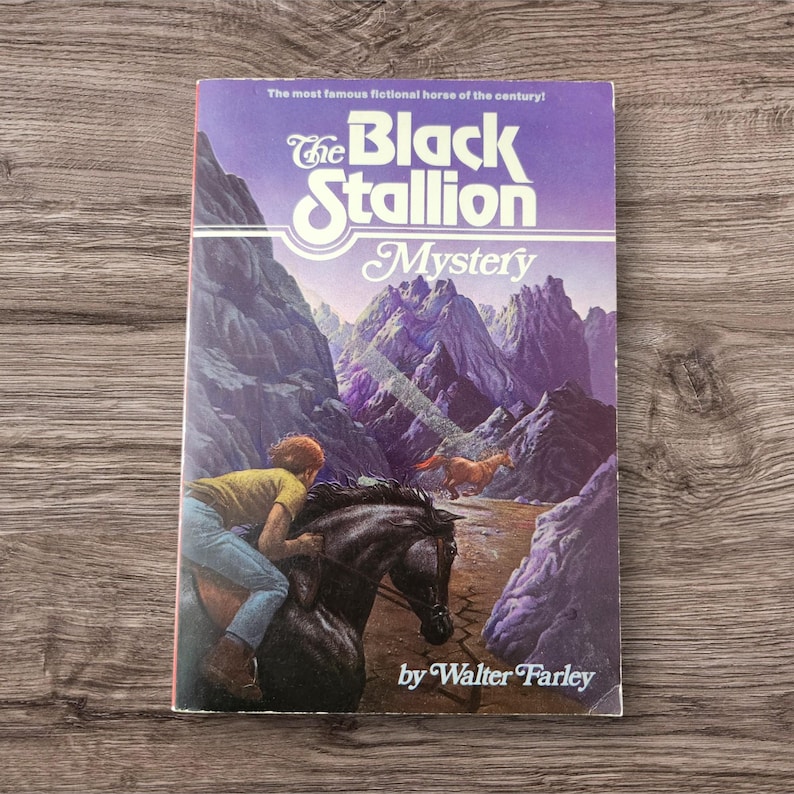 May include: A vintage paperback book titled "The Black Stallion Mystery" by Walter Farley. The cover features a boy riding a black horse, with a brown horse running in the background, set against a mountain landscape.