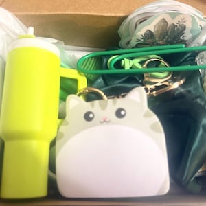 May include: A gift box containing a lime green tumbler with a straw, a cat-shaped notepad, a large green paperclip, a dark green satin scrunchie, a small flashlight with a clear faceted top, and a sticker featuring a crystal illustration.