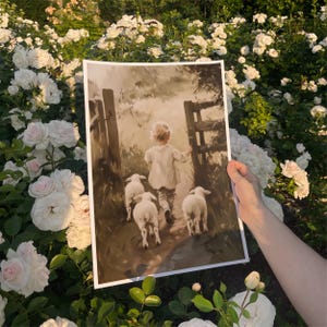 Stampa ad acquerello con bambino e agnelli, regalo da parete per bambini che camminano con le pecorelle, grazioso arredo per cameretta a tema fattoria, cameretta per bambini in stile country