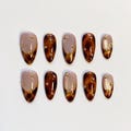 Fall Nails\/Tortoise Shell nails\/Tortoise Press on nails long almond nails\/Leopard Nails\/Tortoise Cat Eye Nails\/Brown Nails\/Birthday Nails