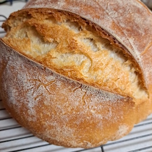 Sourdough Bread Round