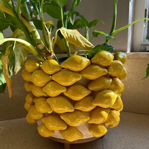 May include: A decorative ceramic planter with a unique design. The planter is adorned with numerous yellow, petal-shaped elements, creating a textured surface. The planter holds a green leafy plant, adding a natural contrast to the bright yellow ceramic.