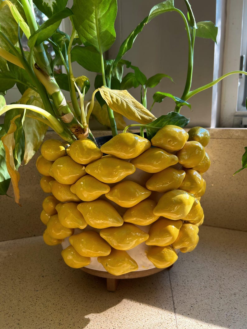 May include: A decorative ceramic planter with a unique design. The planter is adorned with numerous yellow, petal-shaped elements, creating a textured surface. The planter holds a green leafy plant, adding a natural contrast to the bright yellow ceramic.