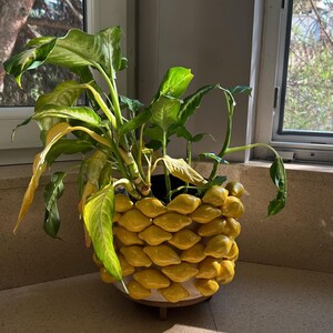 May include: A potted plant with green and yellow leaves sits in a decorative yellow planter. The planter has a unique design with a repeating pattern of yellow, petal-shaped elements. The planter is on a light-colored surface near a window.