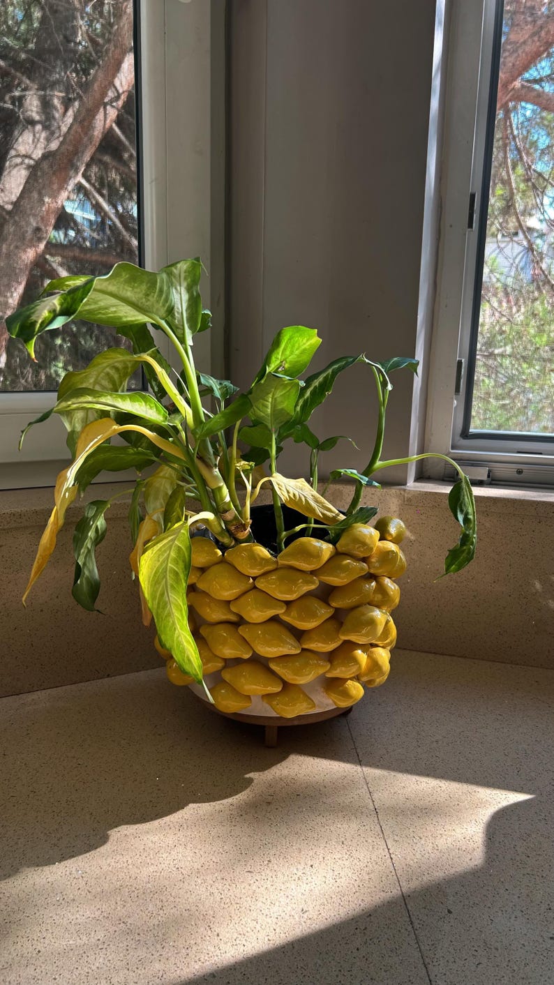 May include: A potted plant with green and yellow leaves sits in a decorative yellow planter. The planter has a unique design with a repeating pattern of yellow, petal-shaped elements. The planter is on a light-colored surface near a window.