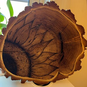 Sunflower Wall/Shelf Art