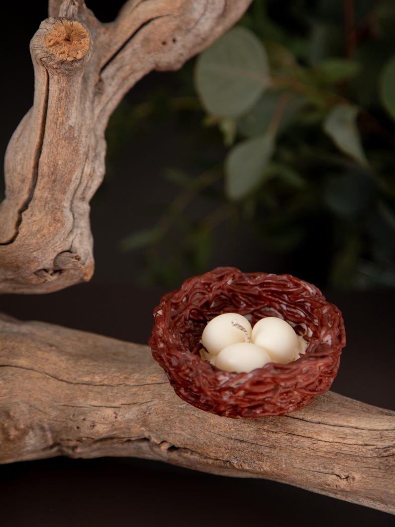 Handmade Easter bird nest candle with eggs, soy wax candle, unique Easter gift, spring home decor