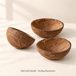 May include: Three brown coconut shell bowls with a rough, fibrous exterior texture and a smooth, polished interior surface. The bowls are semi-spherical in shape and feature natural variations in color and grain. Text reads: Sold individually · Styling illustration.