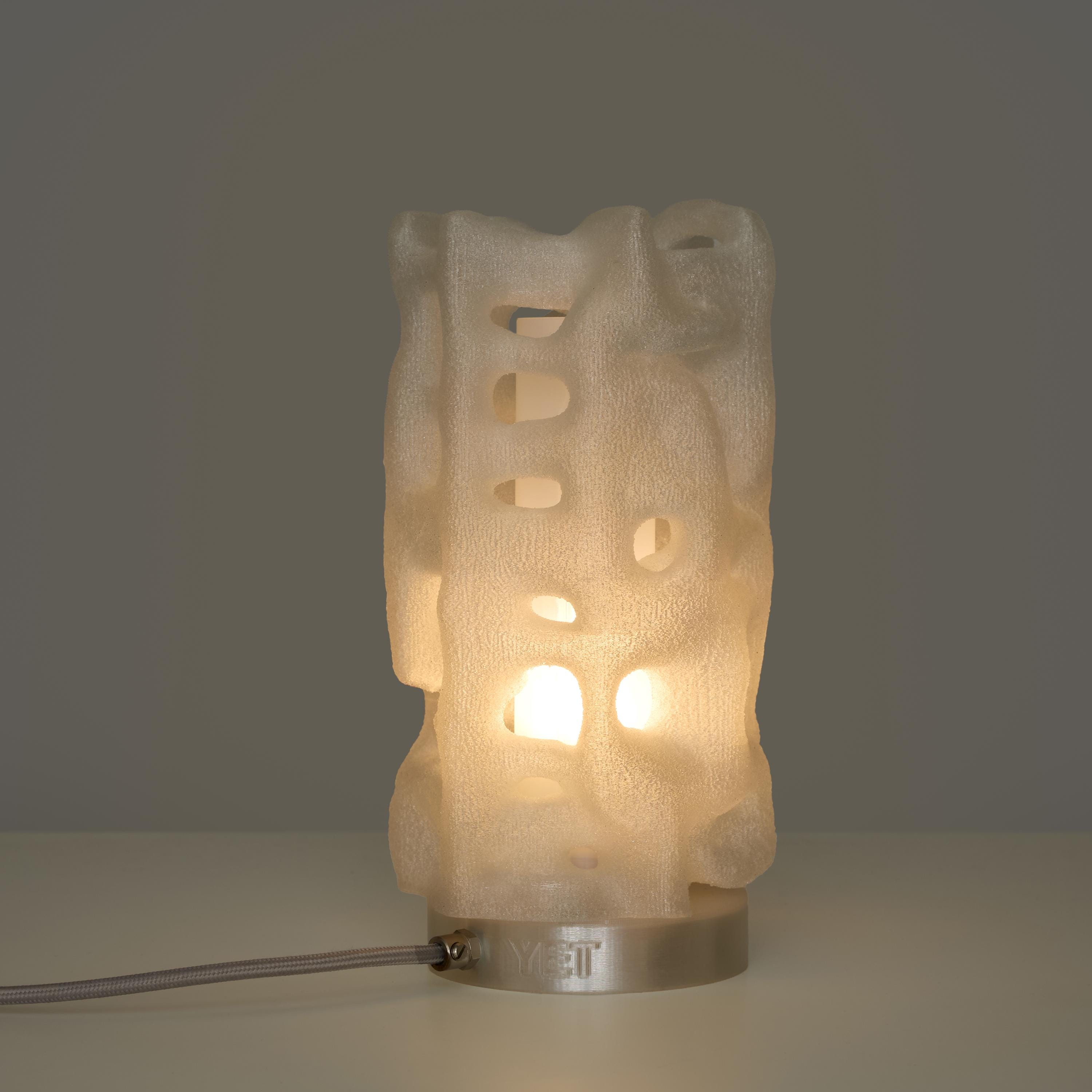 3d-printed Table Lamp: Coral Inspired Biomorphic Light, Modern ...