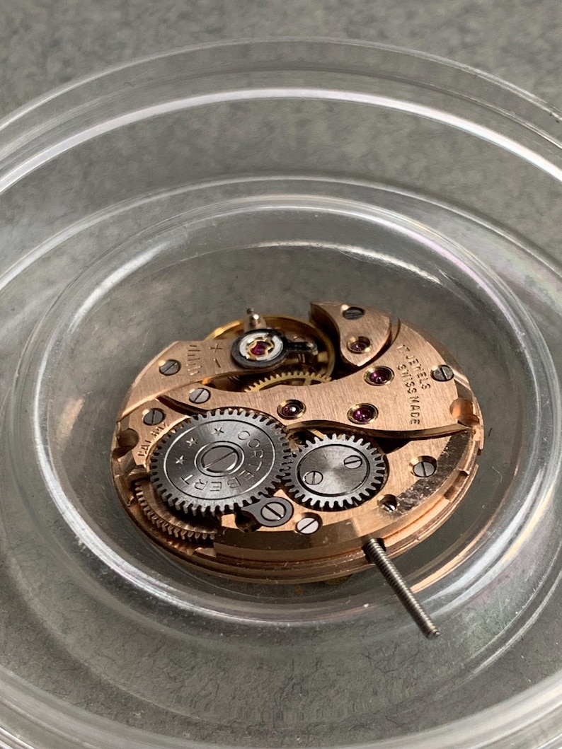 May include: Close-up of a watch movement with gold-colored metal components, gears, and jewels. The watch mechanism is labeled "EPER" and "SWISS MADE". The movement is inside a clear, round container.