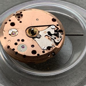 May include: Close-up of a watch movement with copper-colored plates, gears, and screws. The intricate mechanism includes small jewels and a long, thin metal rod extending from the side. The watch movement is inside a clear container.