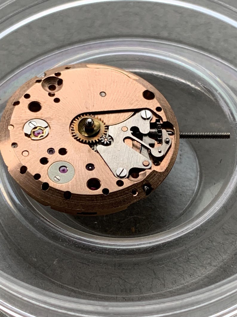 May include: Close-up of a watch movement with copper-colored plates, gears, and screws. The intricate mechanism includes small jewels and a long, thin metal rod extending from the side. The watch movement is inside a clear container.