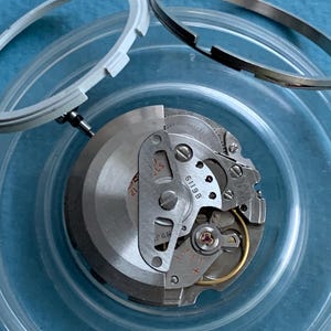 May include: A close-up of a watch movement, showing its intricate internal components. The image features a silver-colored mechanism, a white plastic ring, and a silver metal ring. The parts are in a clear container on a blue surface.