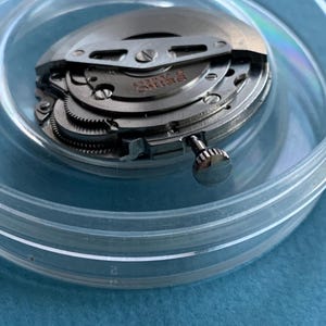 May include: A detailed view of a Seiko watch movement, revealing its complex internal mechanisms. The watch's internal parts are housed in a clear, circular container. The metal components are silver, with the word "Seiko" inscribed.
