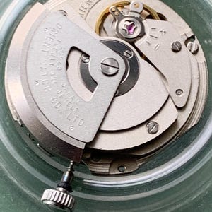 May include: Detailed view of a watch movement with silver-coloured gears, screws, and a balance wheel with a purple jewel. The text "ORIENT WATCH JAPAN JEWELS CO. LTD" is visible. The movement is housed in a clear, circular container. A small, silver crown is also visible.