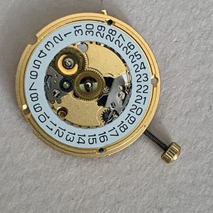 May include: A gold-toned watch movement with intricate gears and a light blue ring displaying the days of the month. A small screw extends from the side. The watch mechanism is a detailed example of horological engineering.