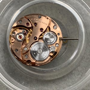 May include: A close-up of a watch movement with visible gears, screws, and jewels. The watch mechanism is copper-colored with the text "17 JEWELS SWISS MADE" and the brand name "CORTEBERT" visible. The watch movement is inside a clear plastic container.