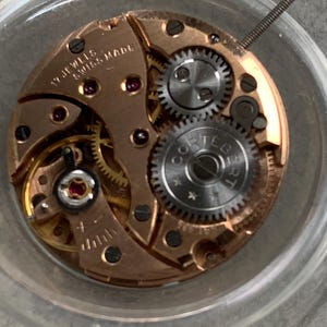 May include: Close-up of a watch movement with visible gears, screws, and jewels. The words "17 JEWELS SWISS MADE" are visible. The movement has a copper-colored base and silver-colored gears. The watch mechanism is inside a clear, round container.