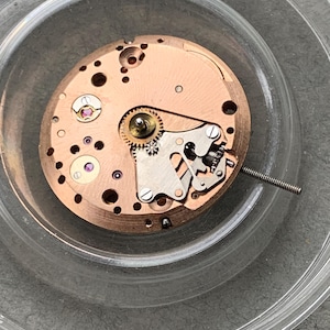 May include: Close-up of a watch movement with copper-colored plates and various gears, screws, and jewels. The intricate mechanism is set within a clear, circular container, showcasing the detailed craftsmanship of the watch's internal components.