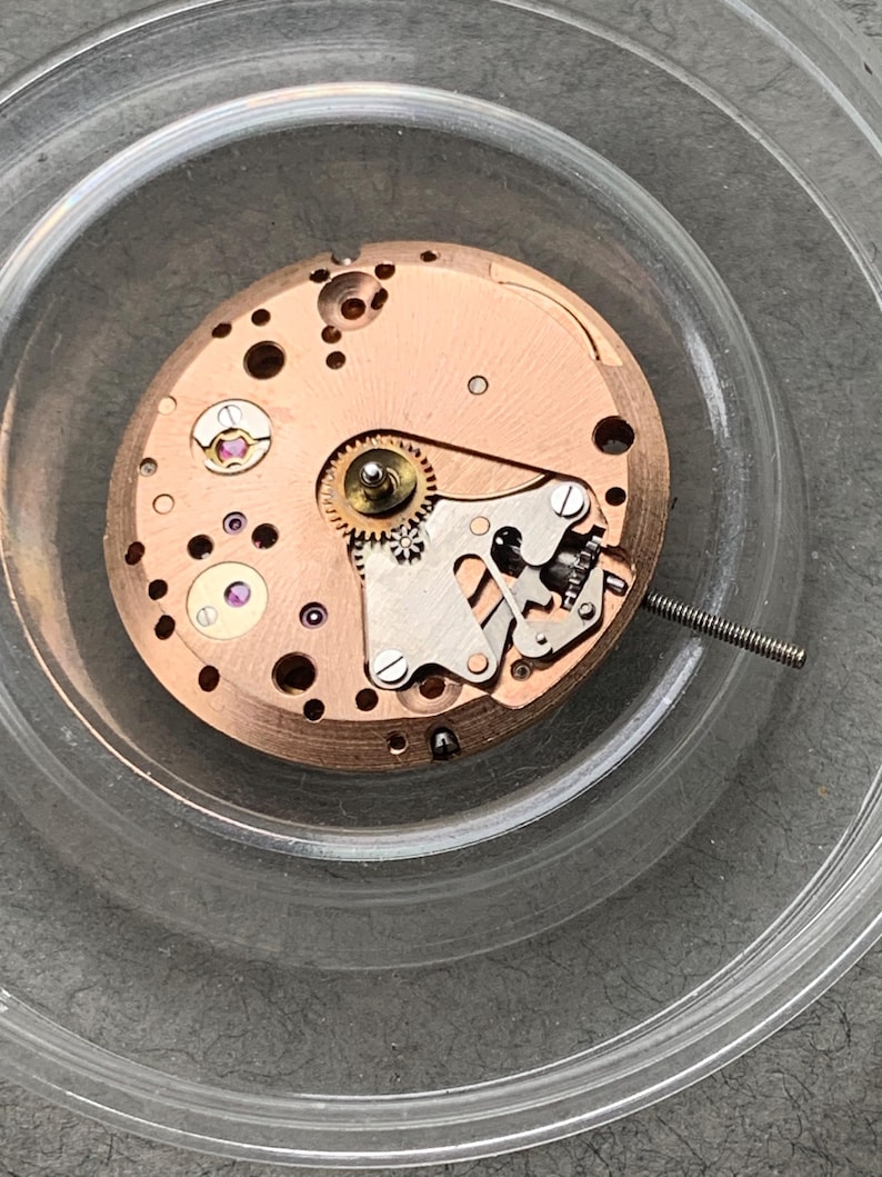May include: Close-up of a watch movement with copper-colored plates and various gears, screws, and jewels. The intricate mechanism is set within a clear, circular container, showcasing the detailed craftsmanship of the watch's internal components.