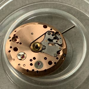 May include: Close-up of a watch movement with a copper-colored base. The intricate mechanism features small gears, screws, and a silver-colored balance wheel. The movement is set in a clear, circular container.
